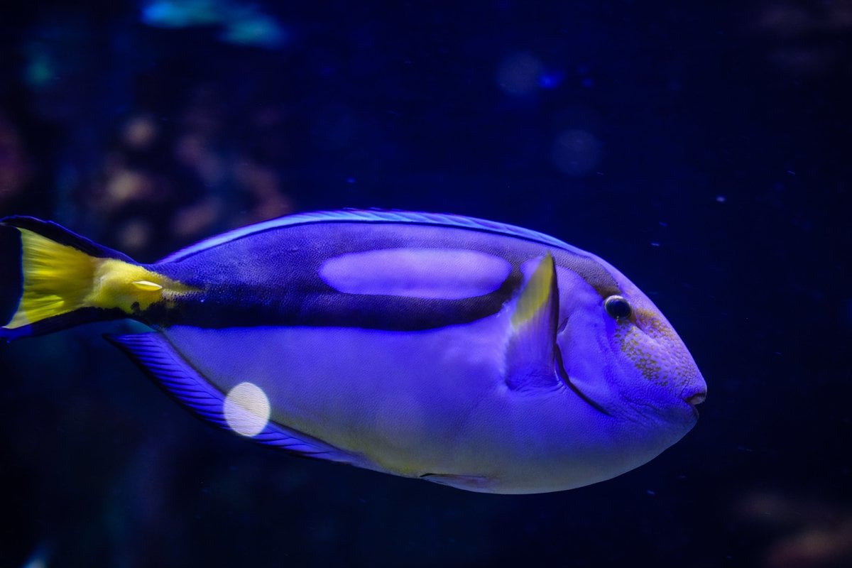 Great Lakes Aquarium - Gallery Image 2